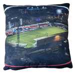 Edgar Street Cushion