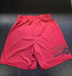 Match Worn Shorts 24/25 Season