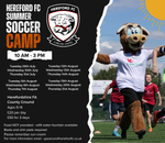 Summer Soccer Camps